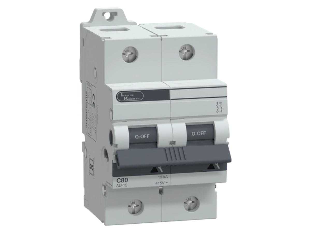 80A DP C-Curve MCB